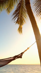 Hammock Hanging Between Palm Trees On Tropical Beach Nadi Fiji