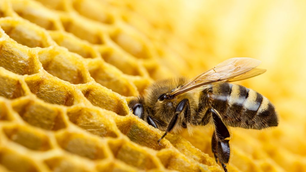 22f05640383d69d5887b263ffb6d0168