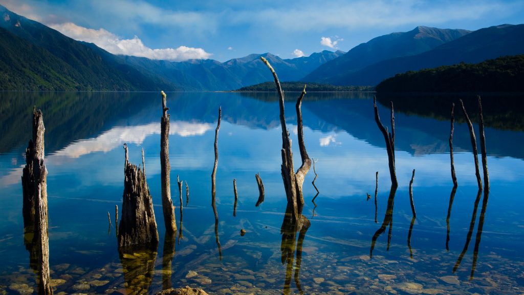 Lake Monowai, Fiordland National Park, Southland, South Island, New Zealand