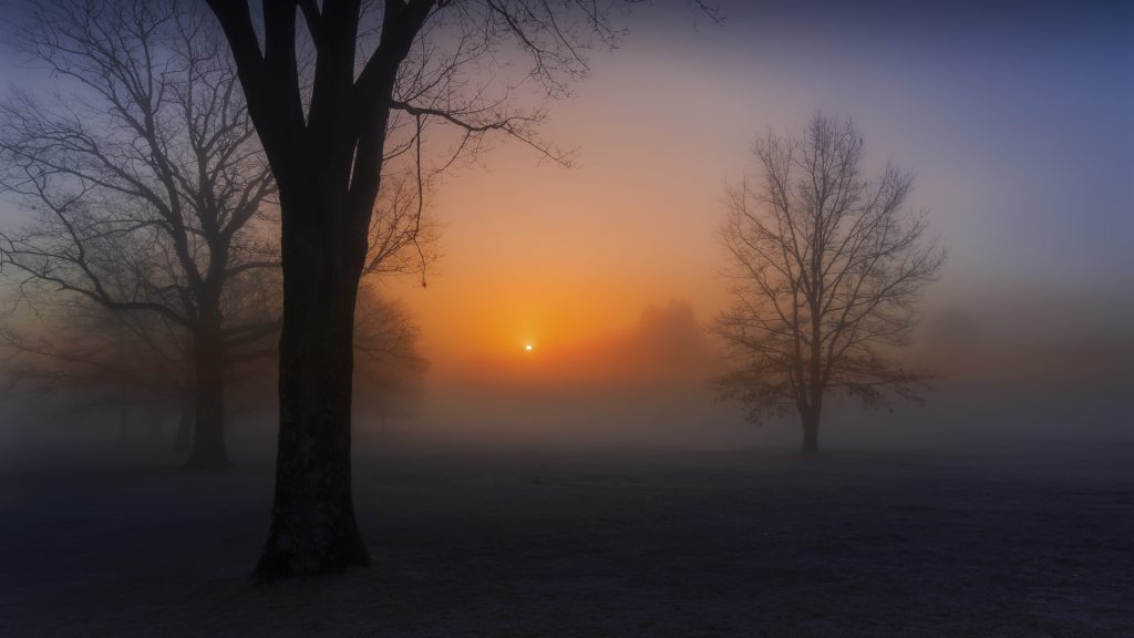 Sunrise in fog, Rockland County, New York state, USA