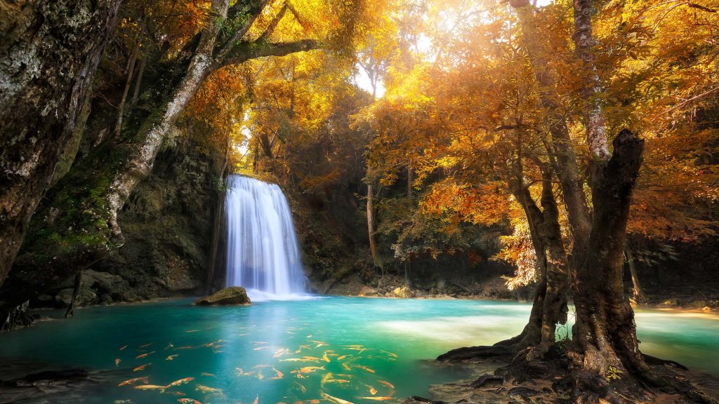 Deep forest waterfall in Kanchanaburi, Erawan National Park, Thailand