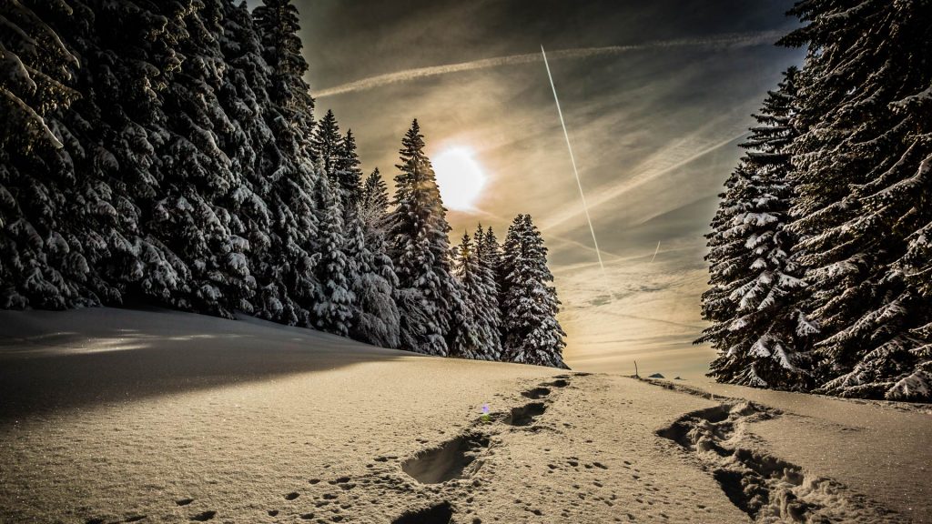 Snowshoeing, Suisse Romande, Switzerland