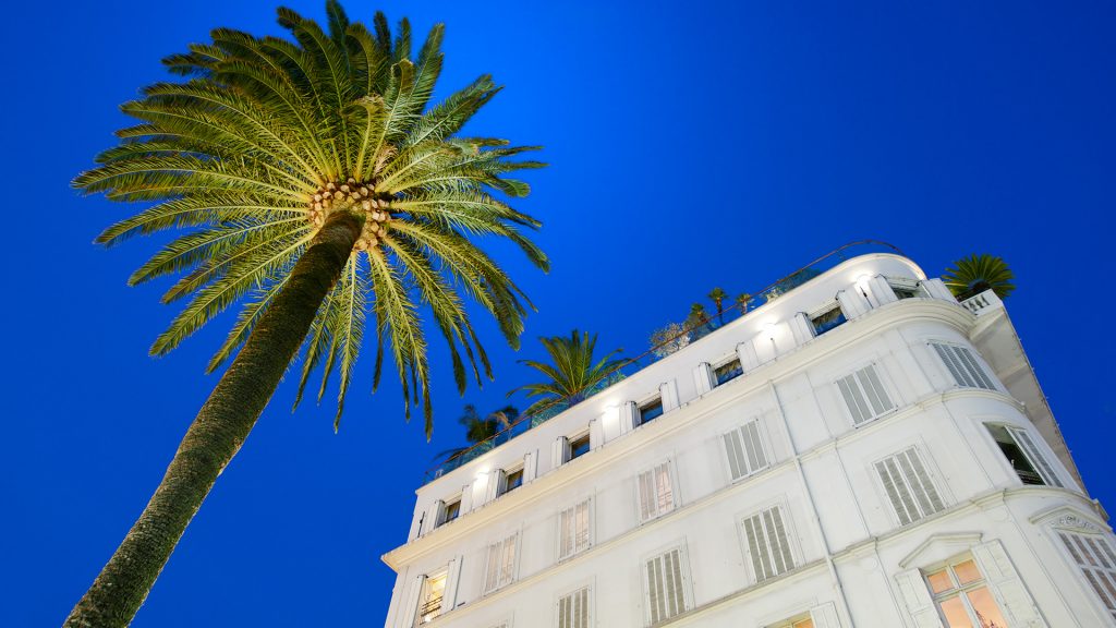 Hotel facade and palm tree at sunset in Cannes, France