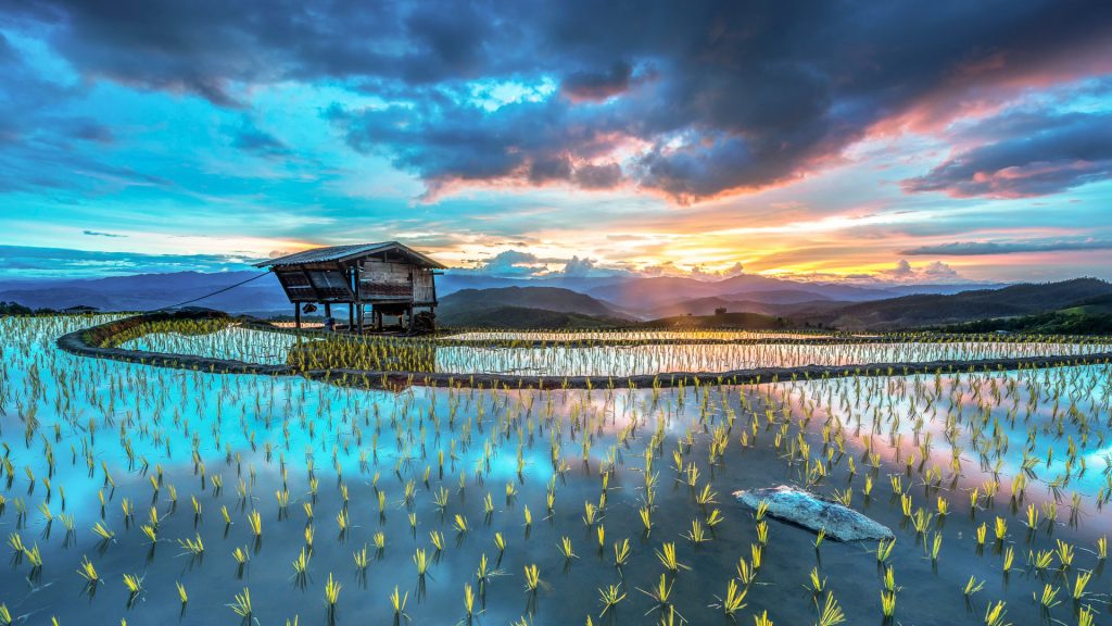 Sunset on rice terraces, Mae Jam, Chiang Mae, Thailand