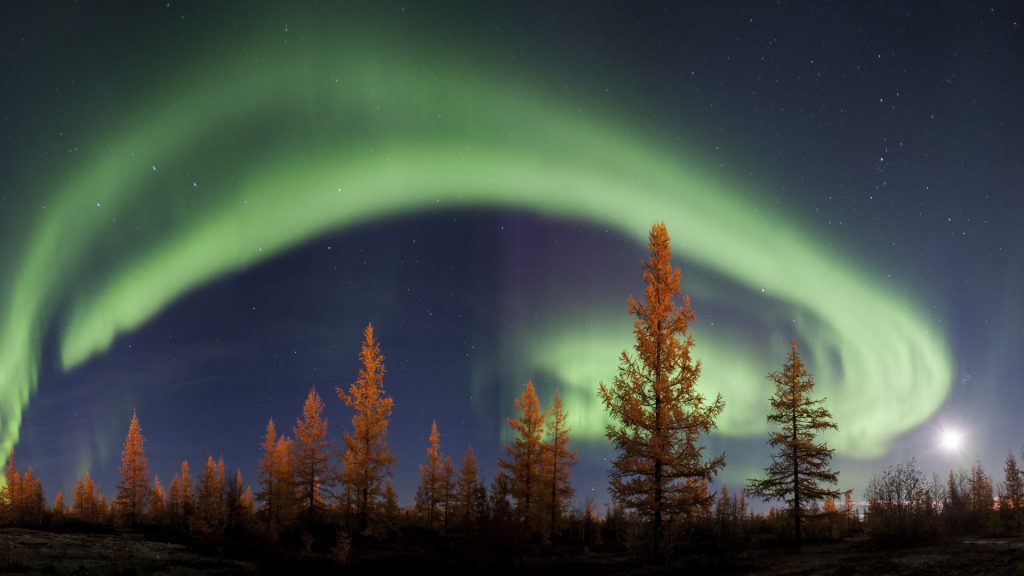 Northern lights or aurora borealis, Tyumen Region, Russia