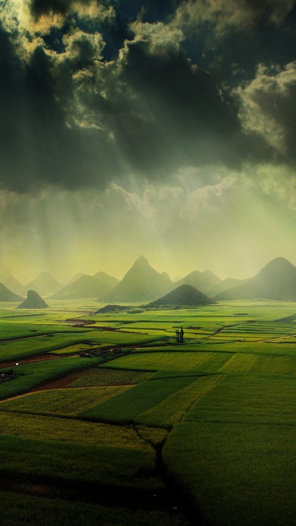 The Canola Fields Luoping Yunnan China Windows Spotlight Images