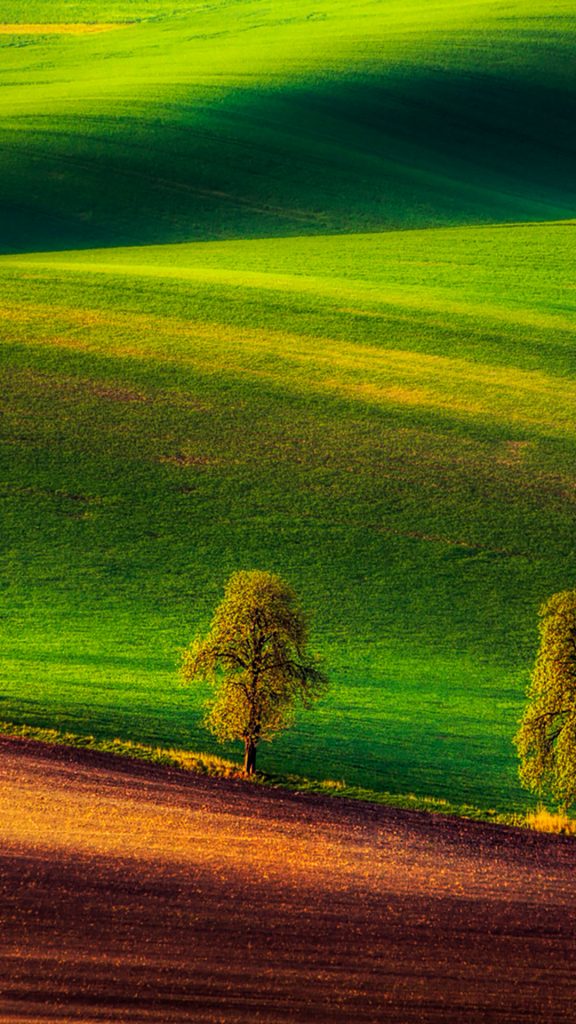 210fa2c9e18eb88e54e5fcdc05485137