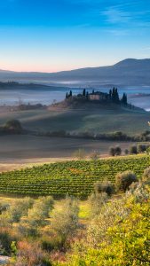 Lonely Tree, Val d'Orcia, Tuscany, Italy | Windows Spotlight Images