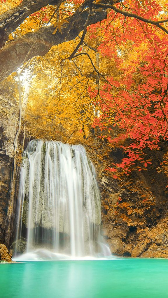 fd51d9a7ca861d606485e0507a3503dc