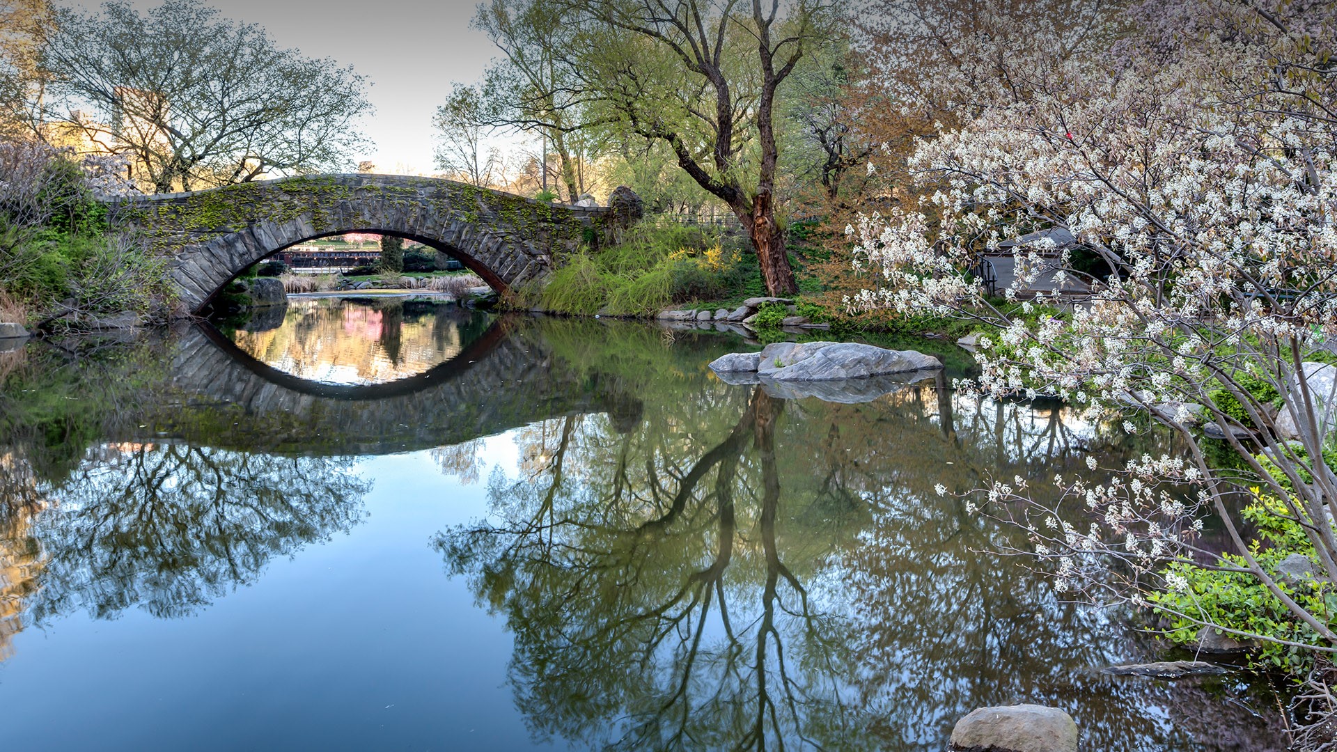 Gapstow bridge early morning in spring, New York City Central Park, USA ...