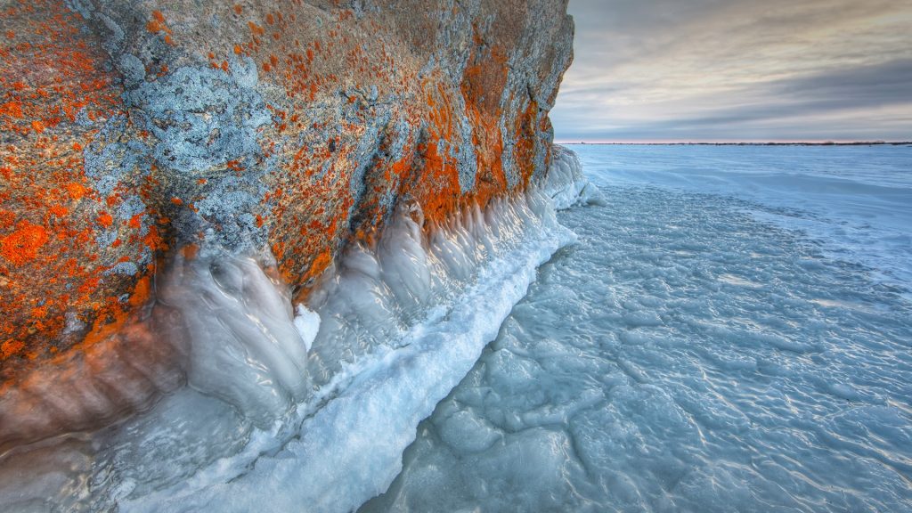 Lichen covered rock in a frozen lake, Hudson's Bay, Manitoba, Canada