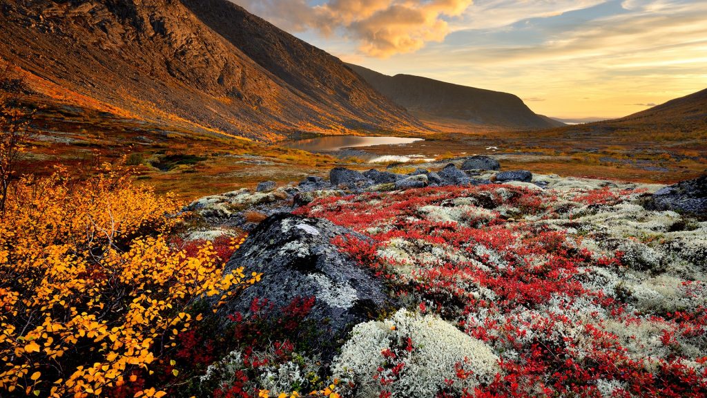 Malaya Belaya river valley, Khibiny mountains, Kola Peninsula, Russia