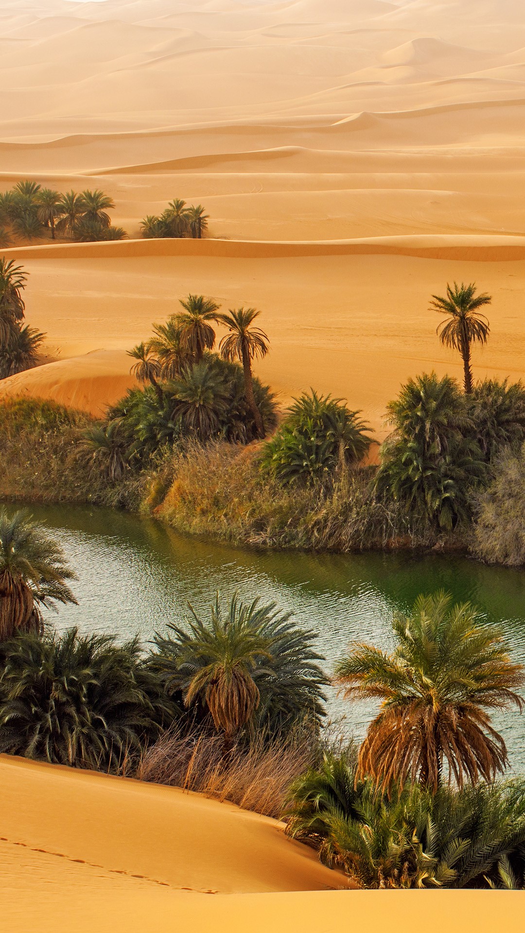 Oasis Umm-al-maa in Sahara Desert, Ubari Lakes, Libya | Windows ...