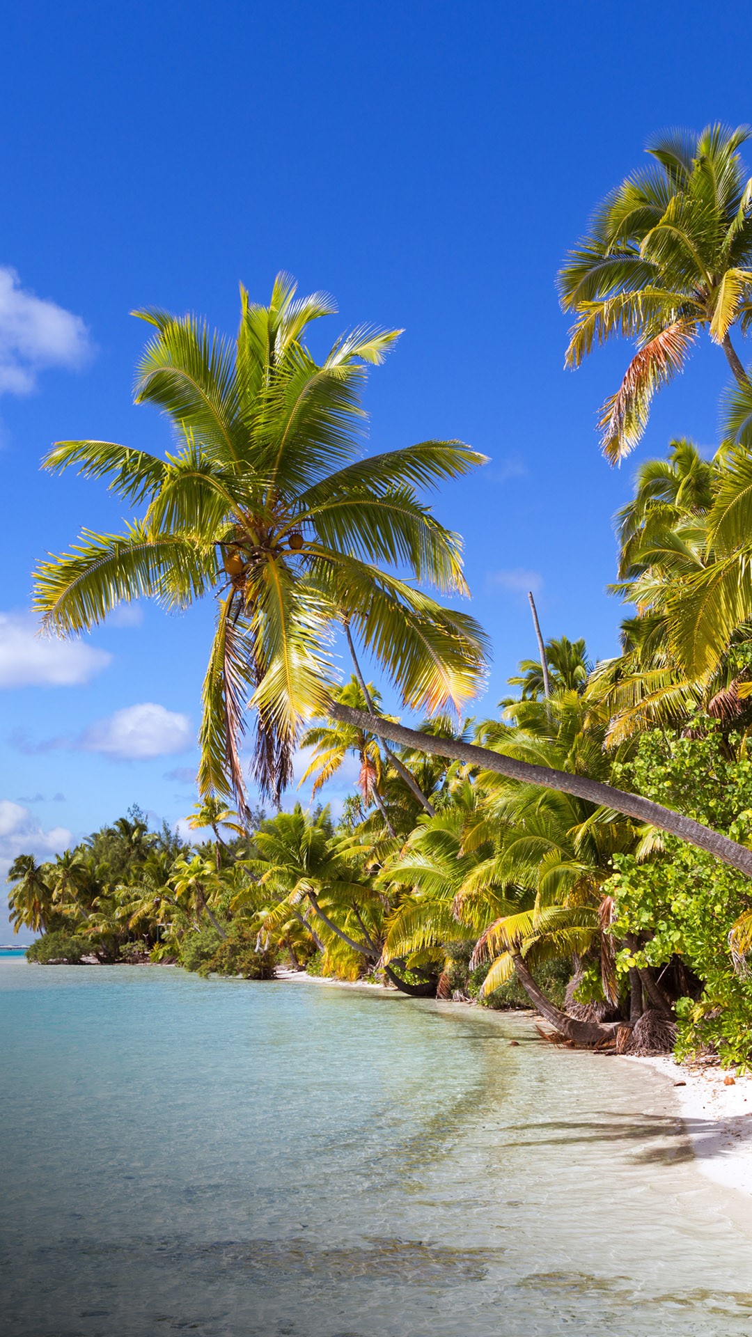 Tropical beach on One Foot Island (Tapuaetai), Aitutaki, Cook Islands ...