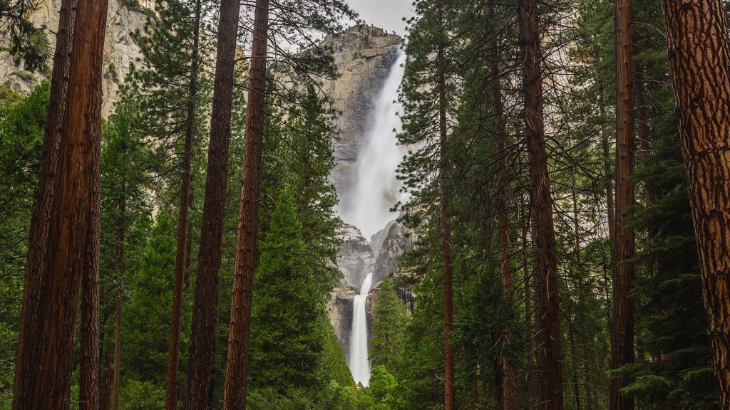 Waterfall at Yosemite framed by pine trees, California, USA