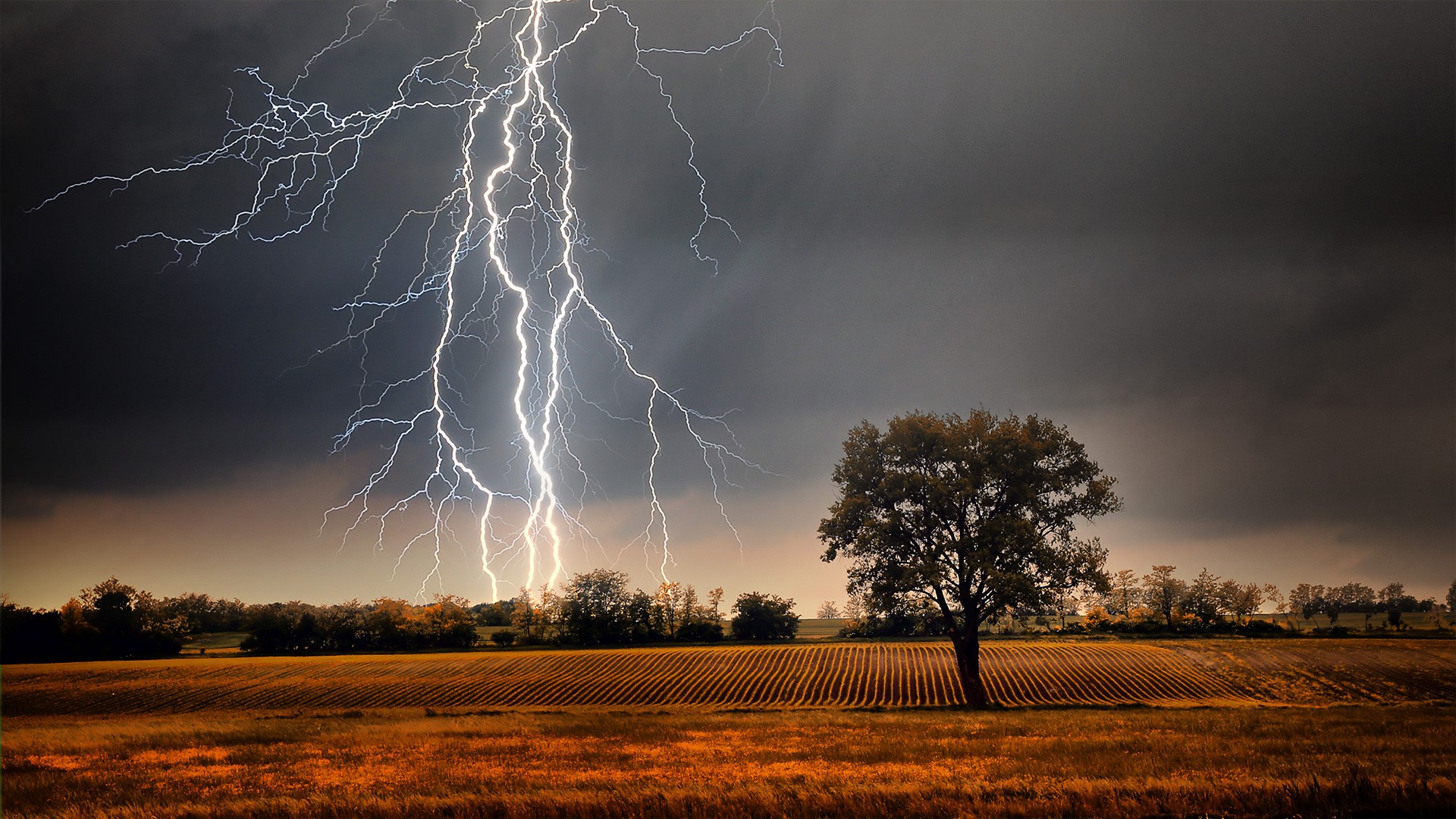 Lightning over field in autumn | Windows 10 Spotlight Images