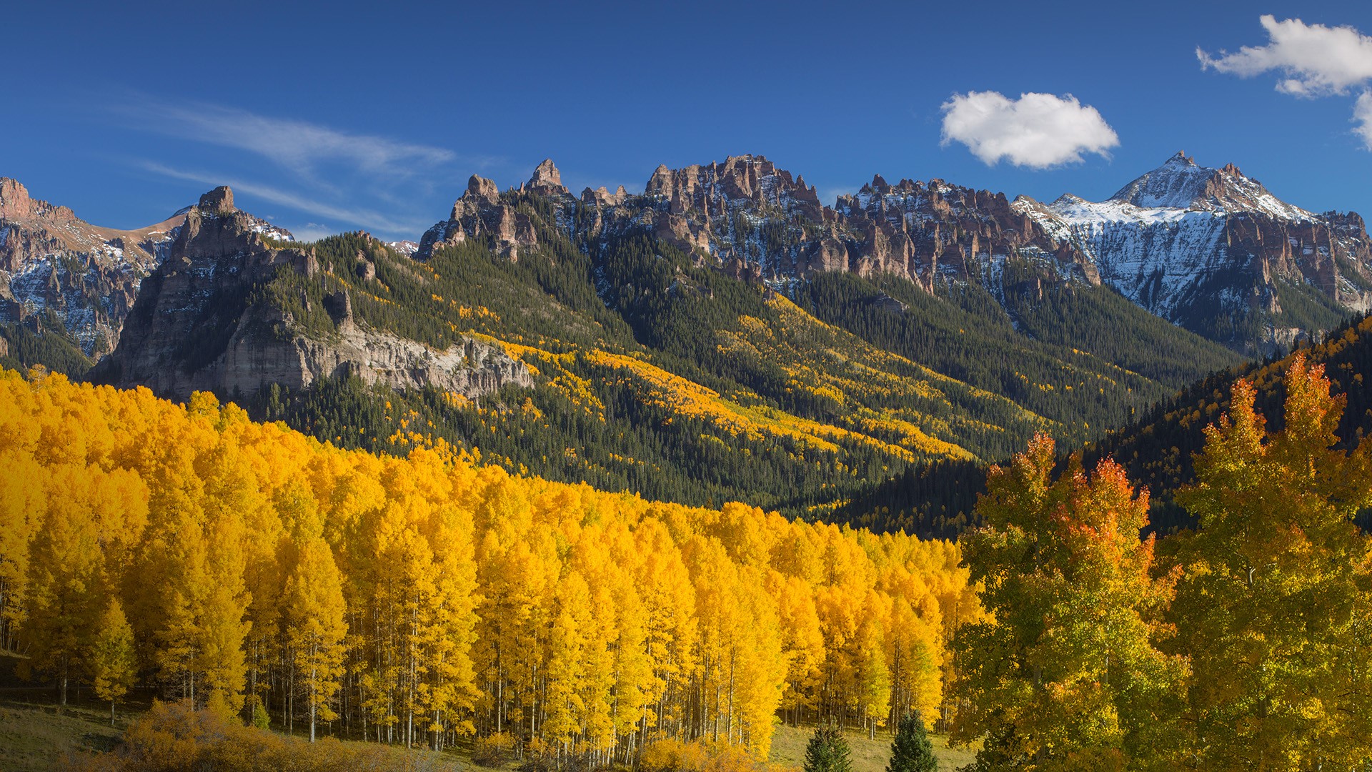 Fall Color aspens in the Rocky Mountains, Colorado, USA Windows