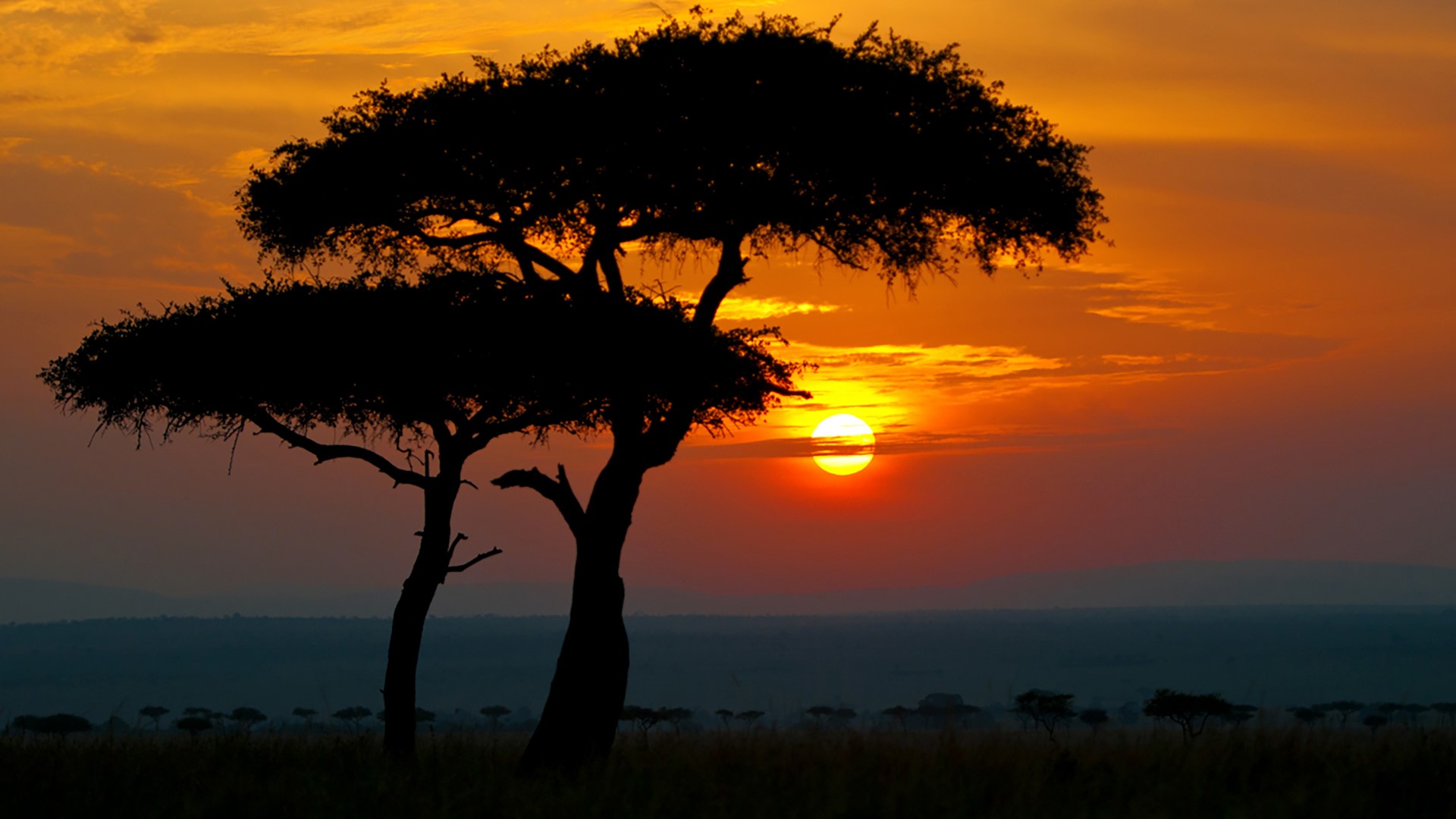 Sunset in Africa, Maasai Mara National Reserve, Narok County, Kenya ...