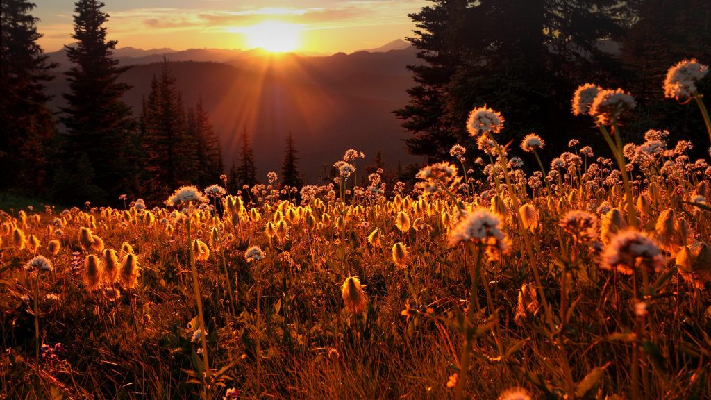 E.C. Manning Provincial Park, sunset from Paintbrush Trail, British Columbia, Canada