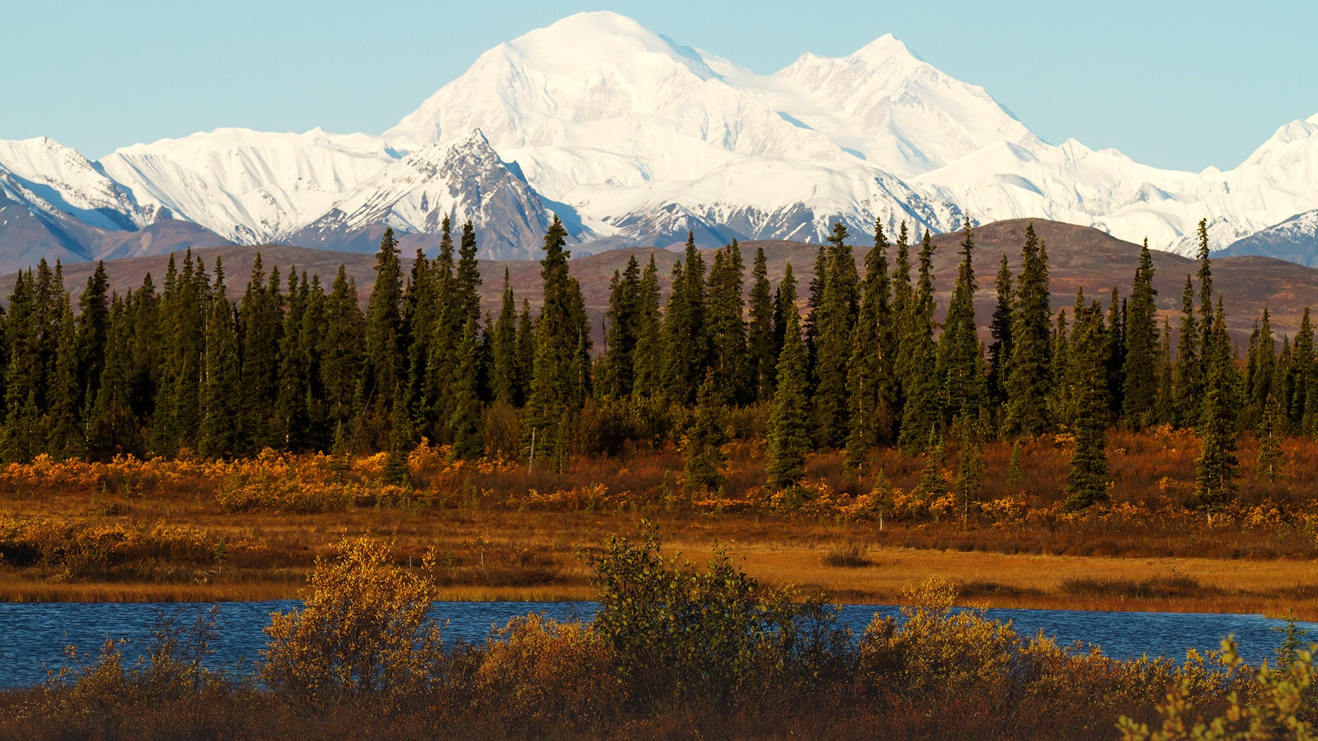Какое время года в северной америке. Аляска гора Денали. Национальный парк Денали Аляска. Гора Денали (Мак-Кинли). Гора Маккинли Аляска.