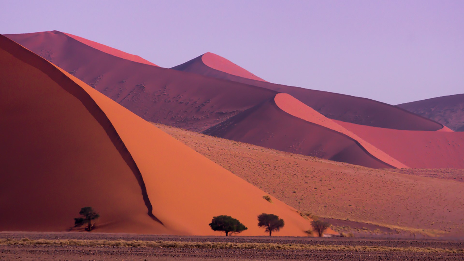 Sossusvlei sand dunes, Tsauchab Valley, Namib-Naukluft National Park ...