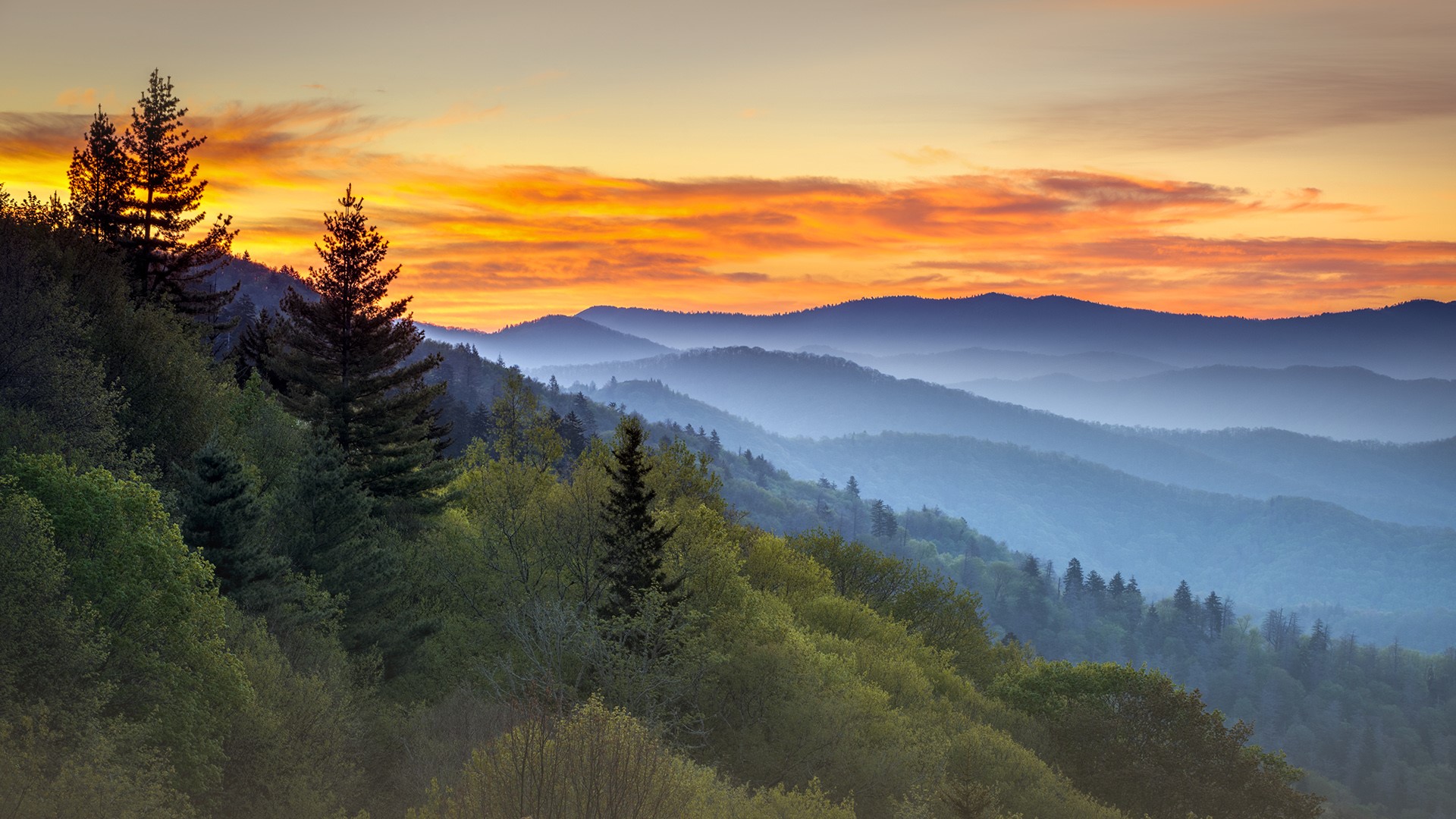 Great Smoky Mountains National Park sunrise  landscape at 