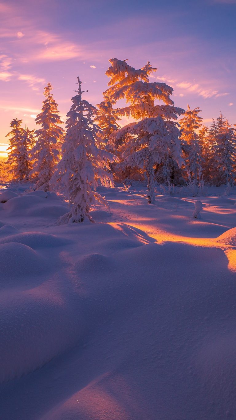 Winter landscape with forest, clouds, snow, trees, Yakutia, Russia ...