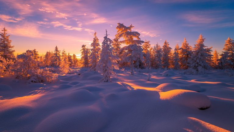 Winter landscape with forest, clouds, snow, trees, Yakutia, Russia ...