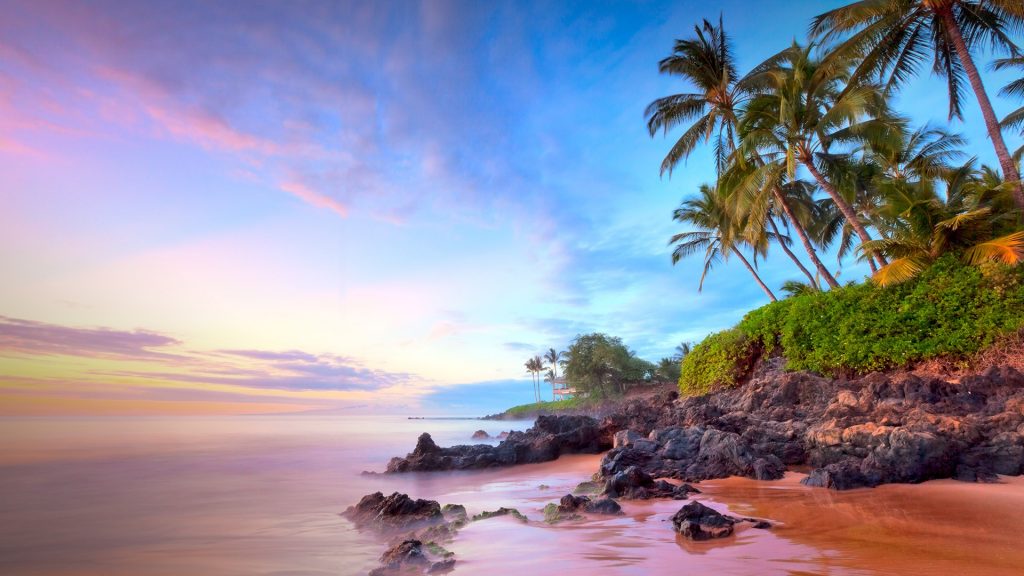 Palm trees on Poolenalena beach at sunset, Maui, Hawaii, USA
