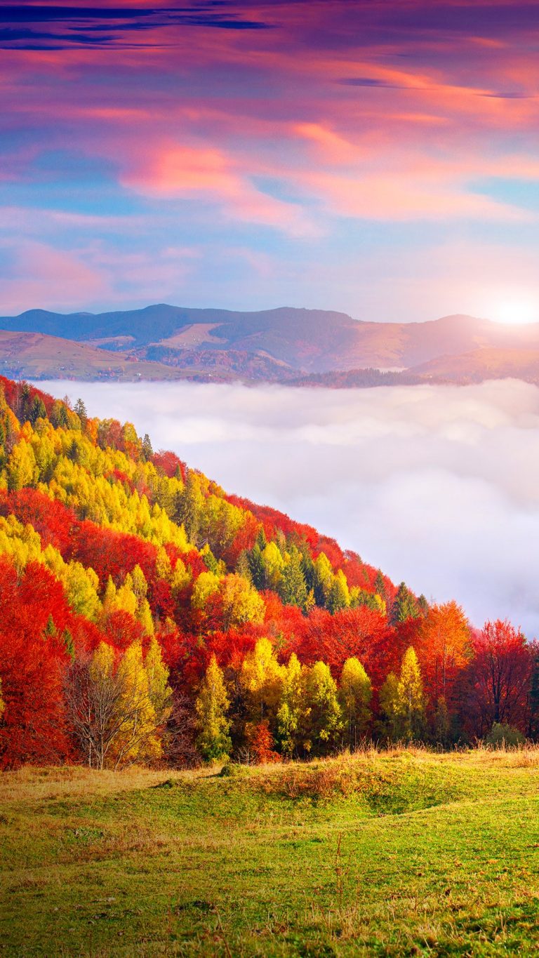 Autumn morning in the Carpathian mountains, Sokilsky ridge, Ukraine ...