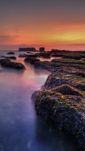 Moss on the rock at Nyanyi Beach at low tide, Bali, Indonesia | Windows ...