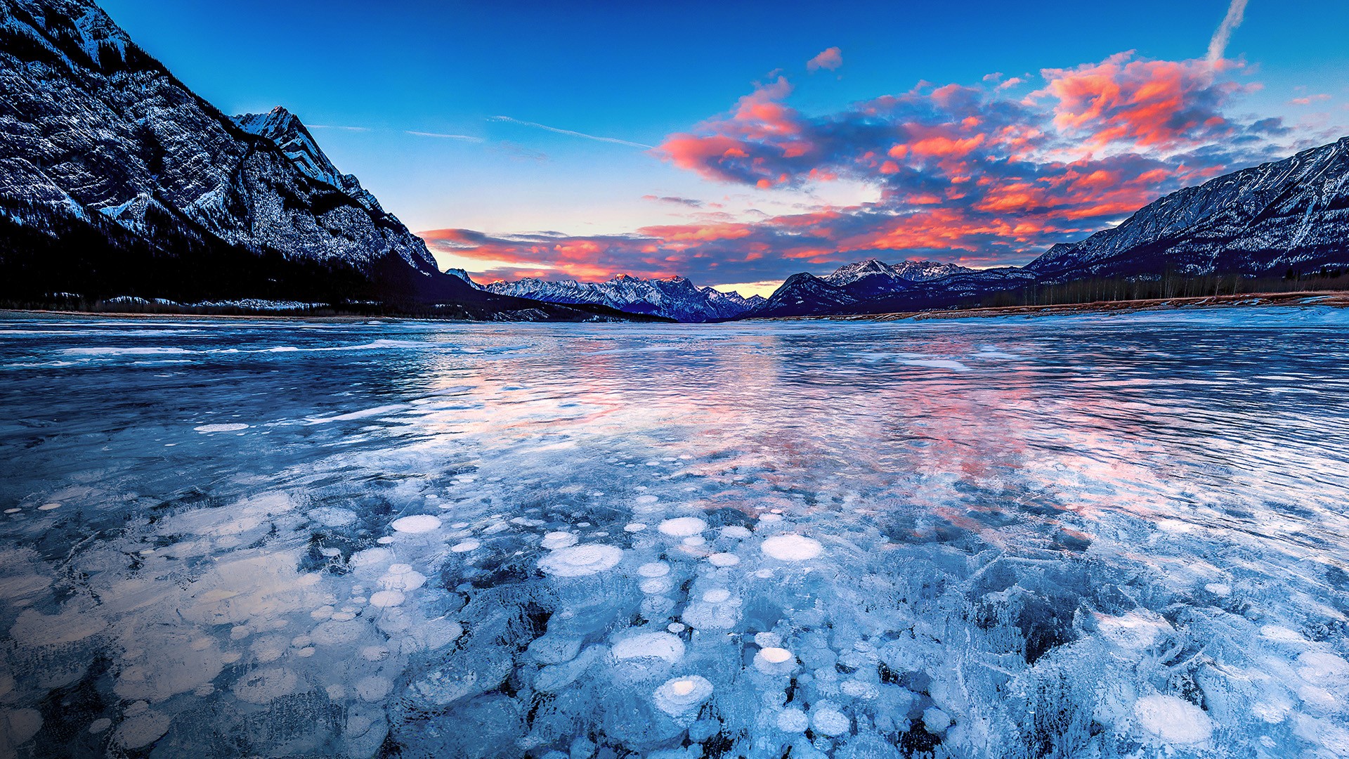 Stacks of methane bubbles under ice in Abraham Lake at sunset, Alberta ...