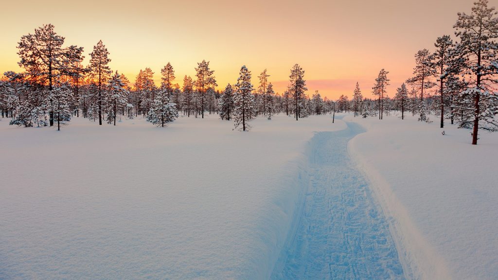 Sundown in winter snowy forest, Lapland, Finland