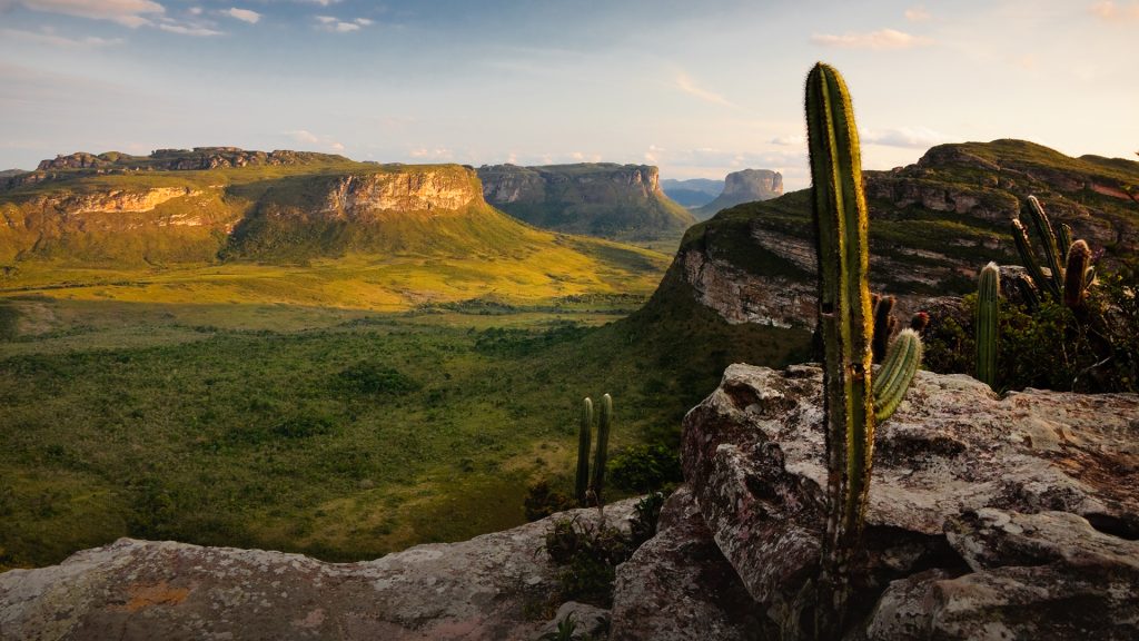 View with cactus from top of Pai Inacio hill near Lençóis, Bahia, Brazil