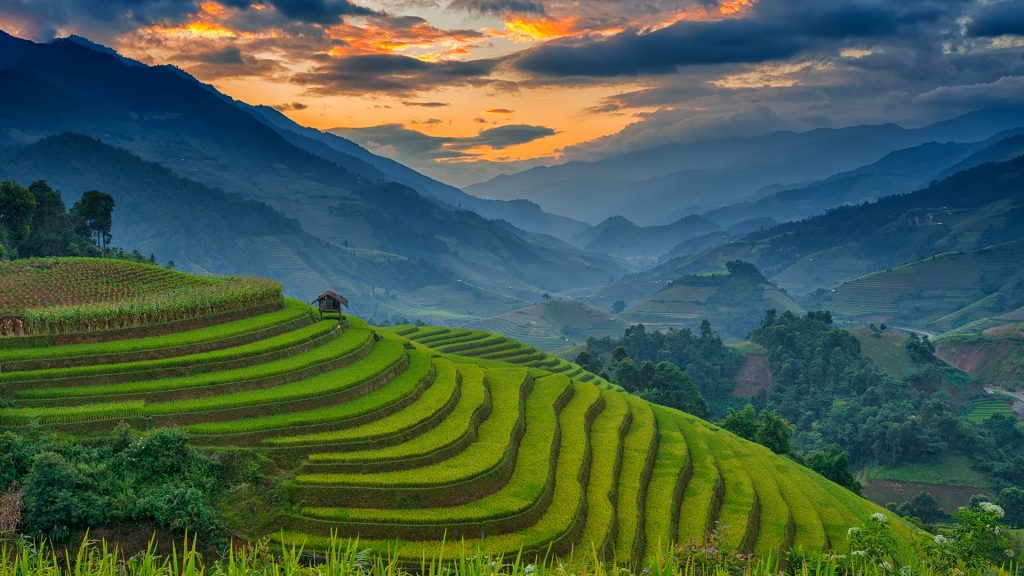 Amazing rice terraces at Mu Cang Chai, Vietnam