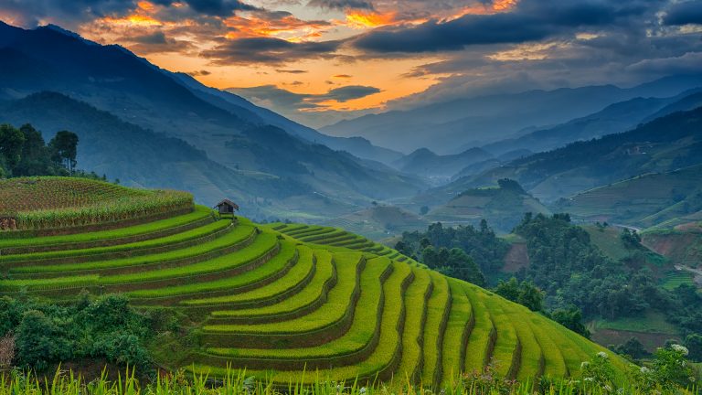 Amazing rice terraces at Mu Cang Chai, Vietnam | Windows Spotlight Images