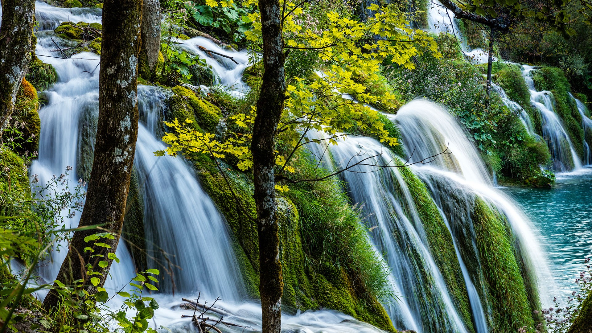 Waterfall in Plitvice Lakes National Park, Croatia | Windows Spotlight ...