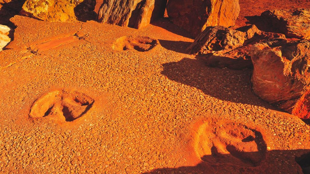 Dinosaur footprints at Gantheaume Point in Broome, Western Australia