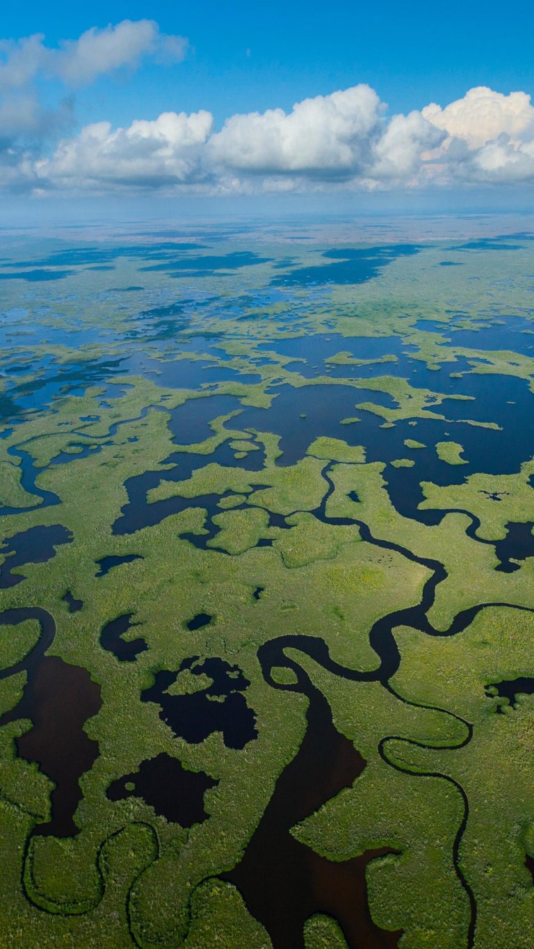 Wetland aerial view in Everglades National Park, Florida, USA | Windows ...