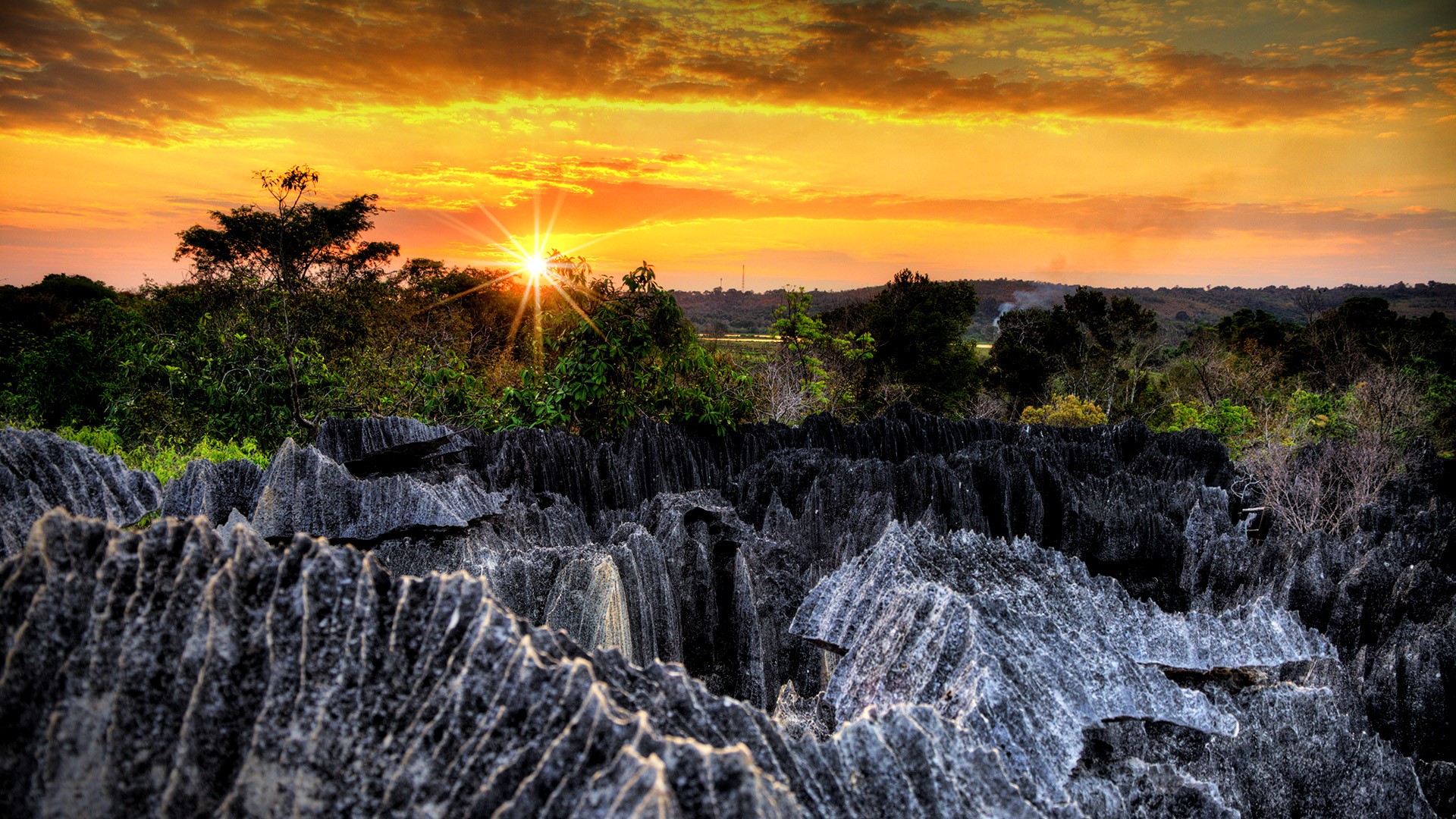 Types Of Strict Nature Reserve