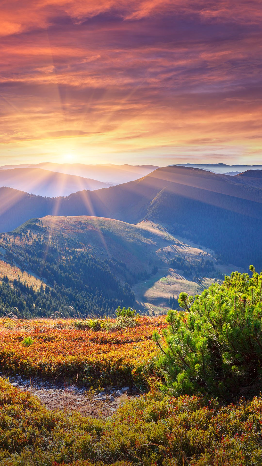 Colorful autumn sunrise  in Carpathian mountains Ukraine 