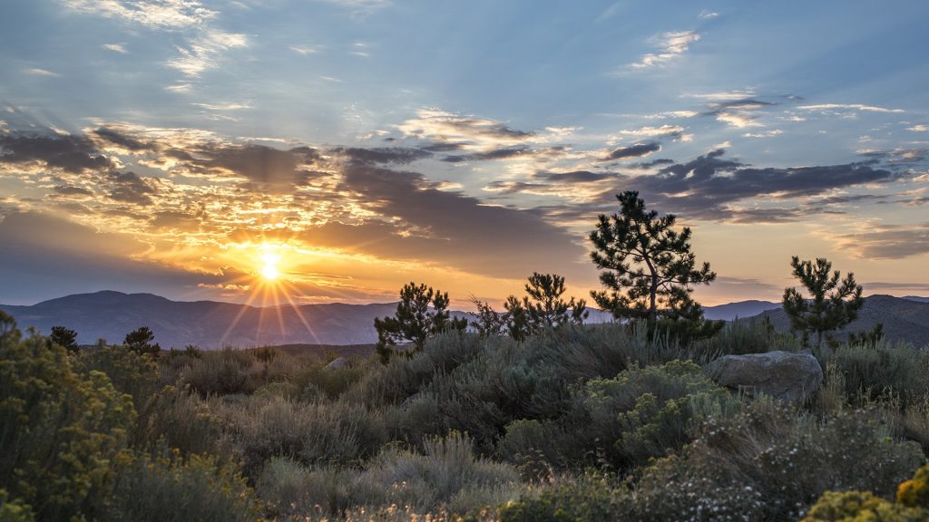 Scenery of desert at sunrise, Truckee Meadows, Reno, Nevada, USA
