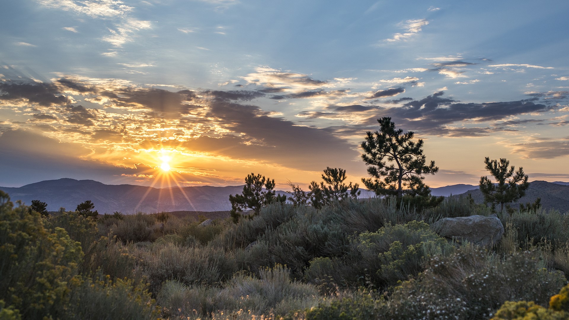 Scenery of desert at sunrise, Truckee Meadows, Reno, Nevada, USA ...