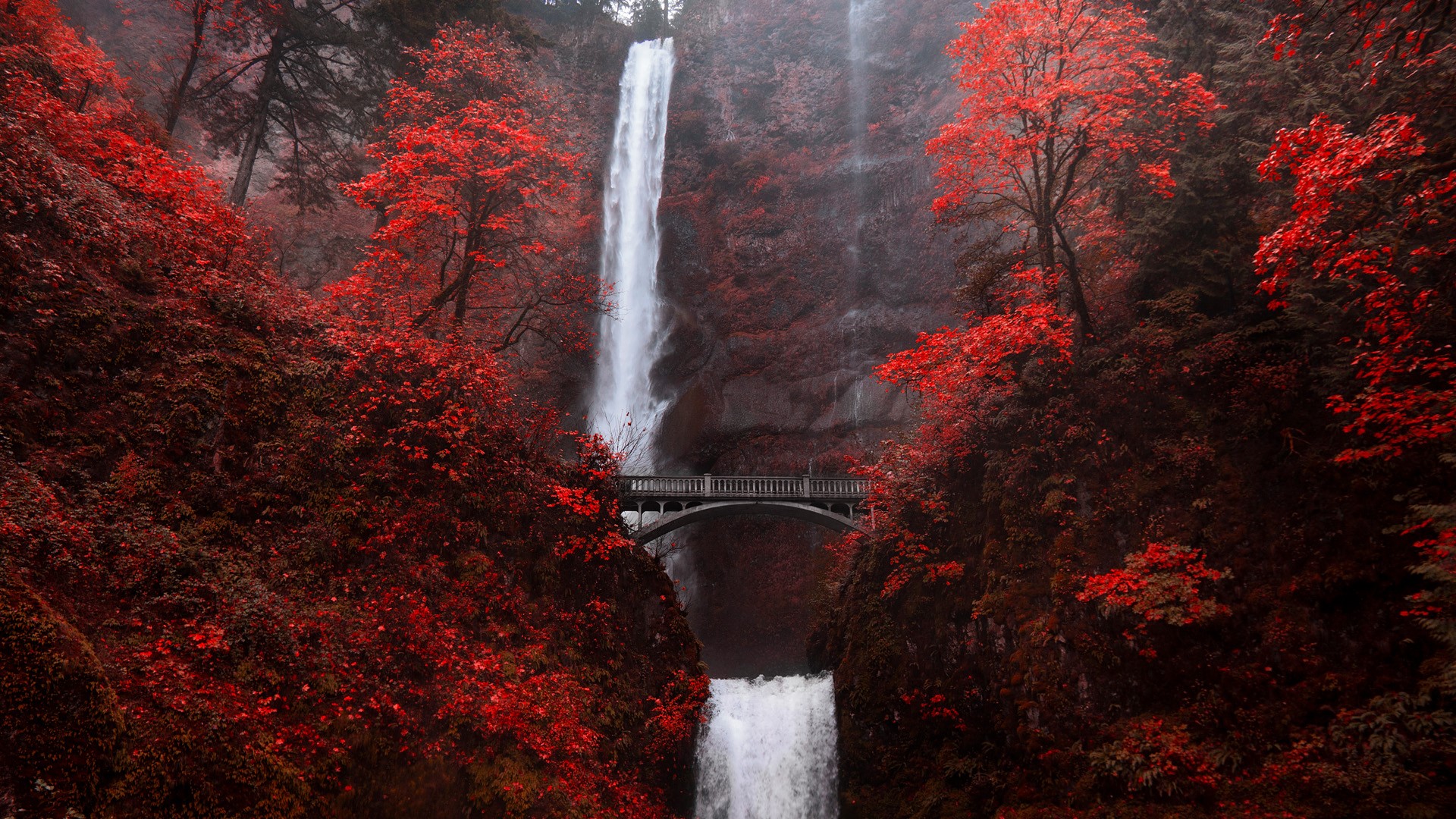 Multnomah Falls waterfall bridge in autumn red, Portland, Oregon, USA ...