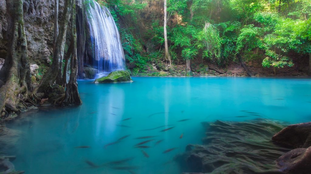 Erawan Waterfall in deep forest over pond with fishes, Kanchanaburi, Thailand