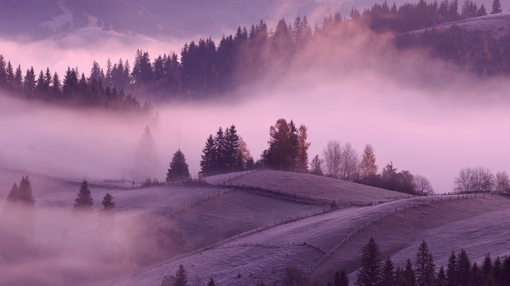 Misty sunrise, Krasnik village area, Carpathian Mountains, Ivano-Frankivsk region, Ukraine