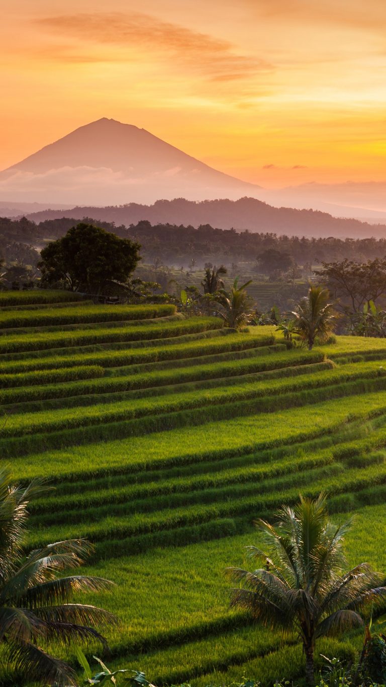 windows 10 indonesia