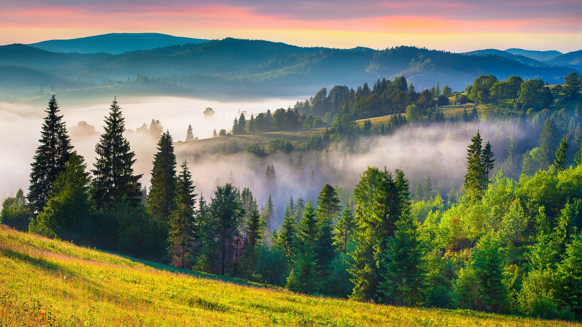 Colorful summer sunrise in the Carpathian mountains, Ukraine | Windows ...