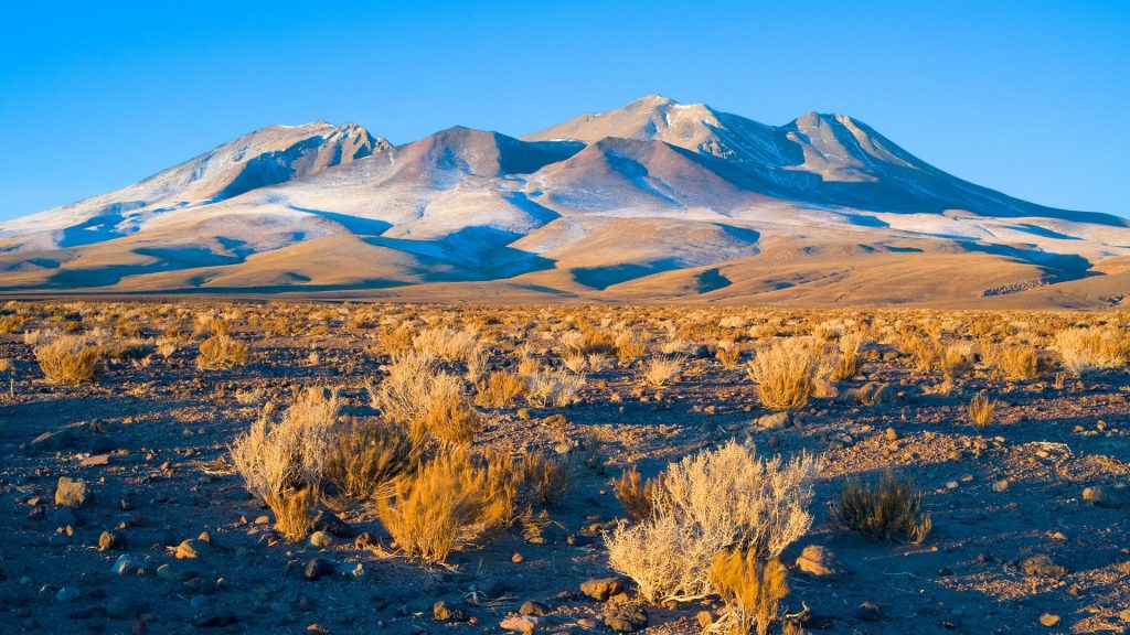 Altiplano Hills (High Andean plateau), Los Flamencos National Reserve, Atacama desert, Chile