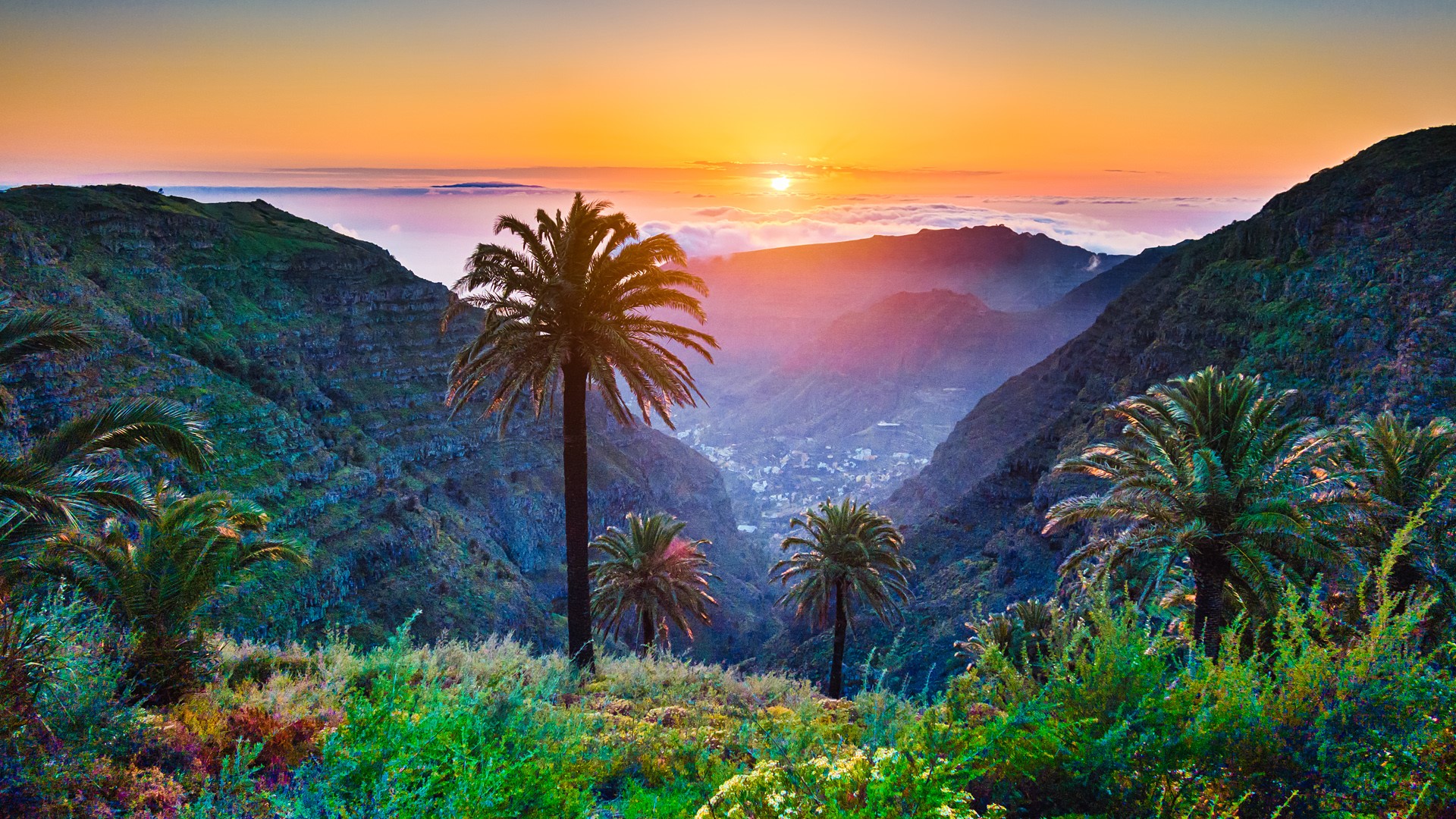 Tropical scenery with palm trees and mountains at sunset, Canary ...